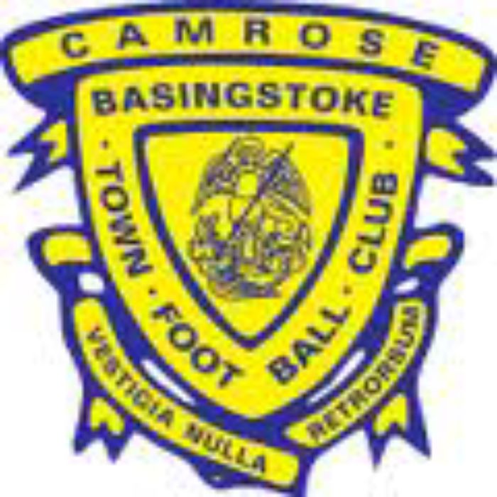 basingstoke badge