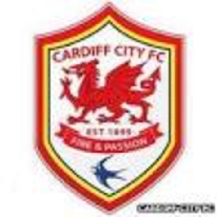 Cardiff City new logo