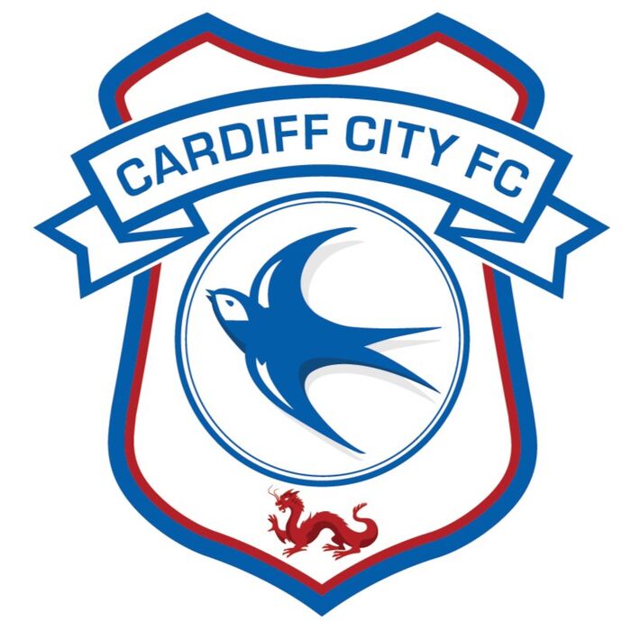 Cardiff City Crest 2015