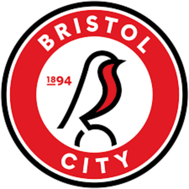 Bristol City Appoint New CEO