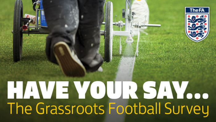 Grassroots survey