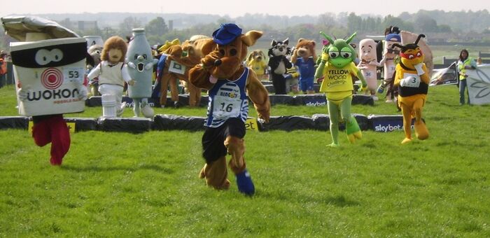 mascot gold cup