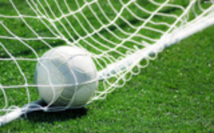 football in net
