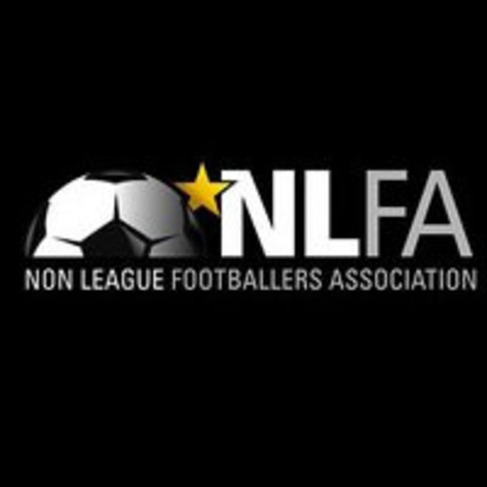 nlfa newsletter logo