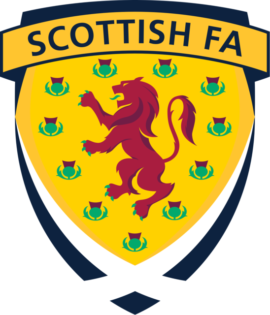 Andrew McKinlay Appointed Vice President of the Scottish FA