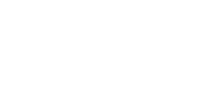 sports traider logo