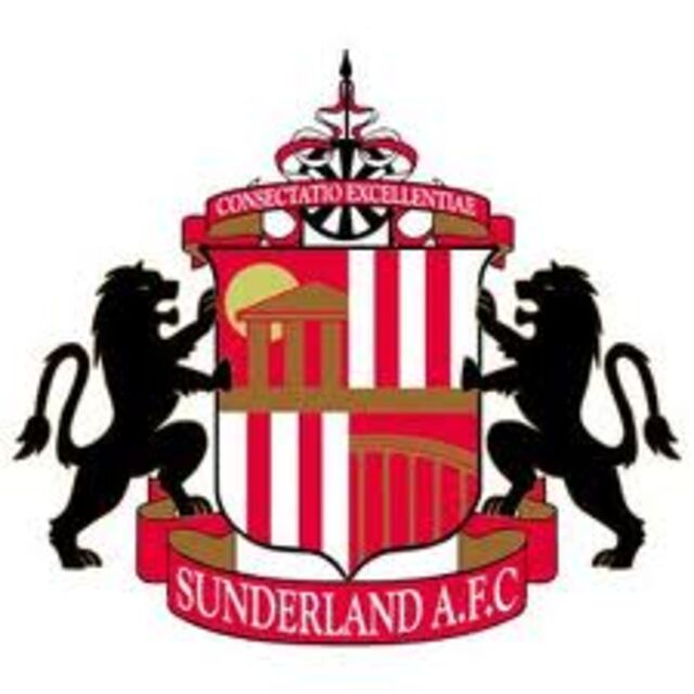 New Sunderland chairman announced