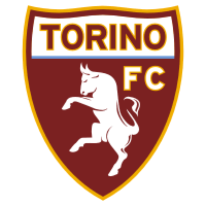 Torino badge