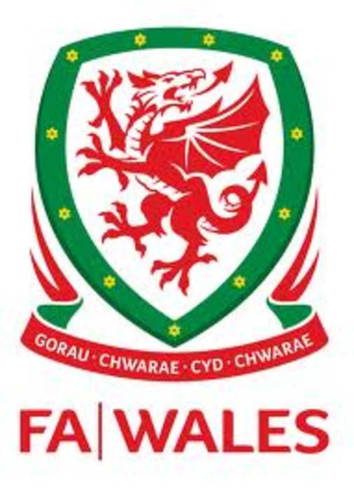 Wales FA badge