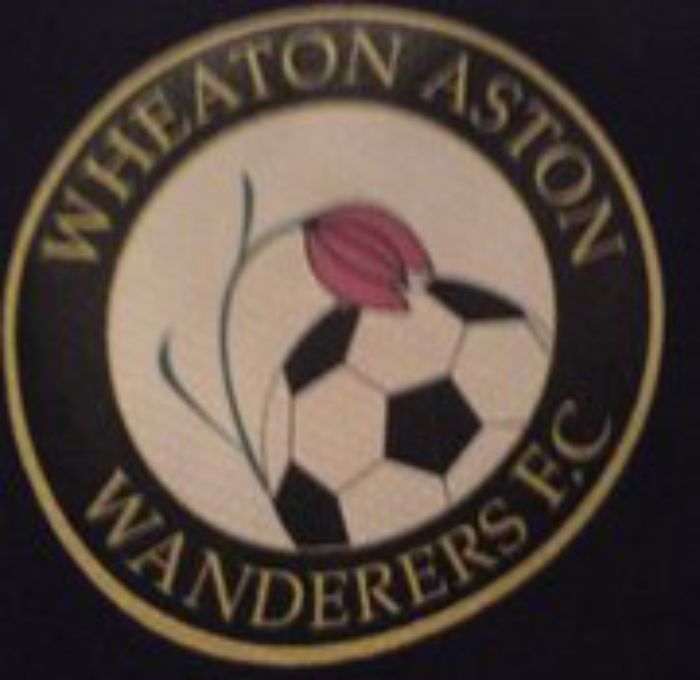 Wheaton Aston Villa Logo