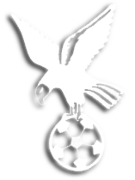 whitehawkfc logo