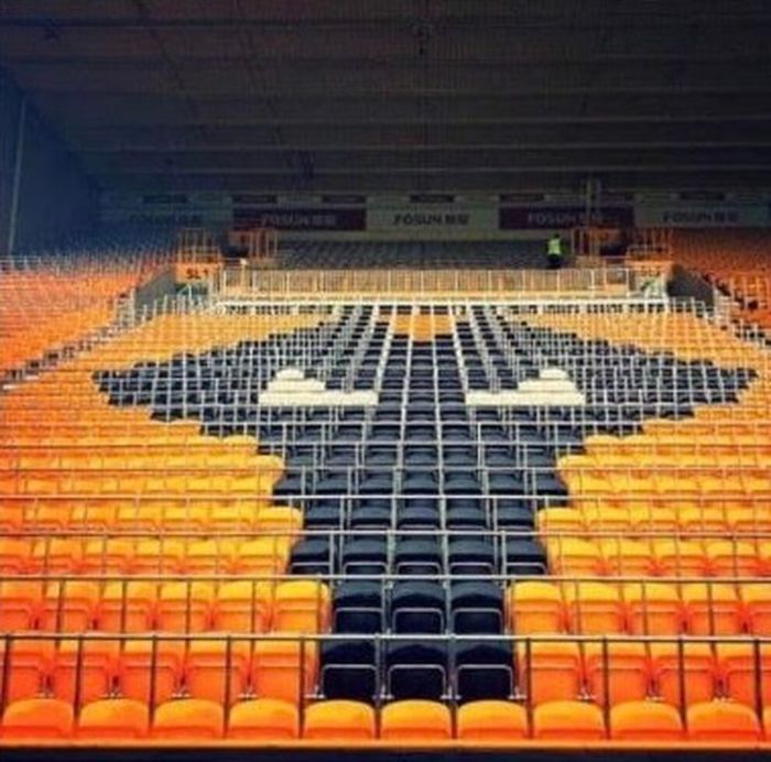 Wolves safe standing